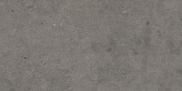 Gallery Dark Gray 12×24 Field Tile Light Polished Rectified