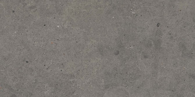 Gallery Dark Gray 12×24 Field Tile Light Polished Rectified