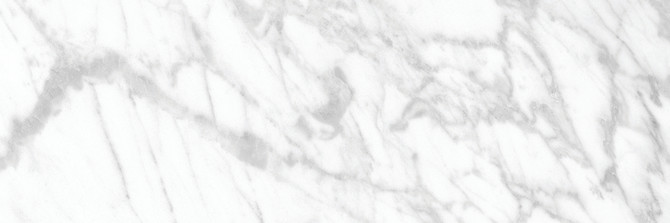 La Marca Statuarietto 4X12 Polished Rectified