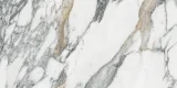 Majesto Arabescato Corchia 12×24 Field Tile Honed Rectified