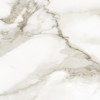 Gleam Calacatta 20×20 Field Tile Matte