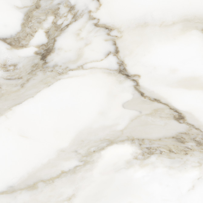 Gleam Calacatta 20×20 Field Tile Matte
