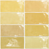 Fez Mustard 2×5 Field Tile Glossy