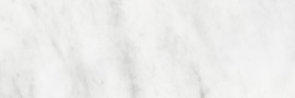 Bianco Venatino 6×18 Field Tile Honed