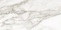 La Marca Calacatta Paonazzo 12X24 Polished Rectified
