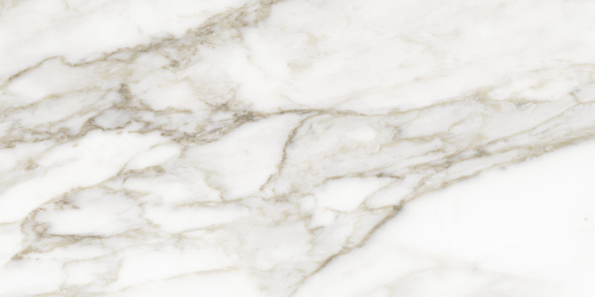 La Marca Calacatta Paonazzo 12X24 Polished Rectified