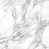 La Marca Arabescato 24X24 Polished Rectified