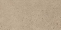 Gallery Taupe 12×24 Field Tile Light Polished Rectified