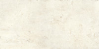 Uniche Bianco 12×24 Field Tile Rectified