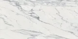 Majesto Calacatta Corchia 24×48 Field Tile Honed Rectified