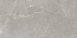 Roxy Light Gray 24×48 Field Tile Leather Rectified