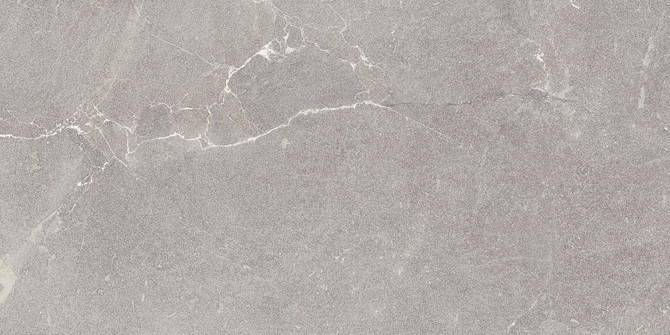 Roxy Light Gray 24×48 Field Tile Leather Rectified