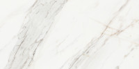 Majesto Calacatta Borghini 12×24 Field Tile Vintage Rectified