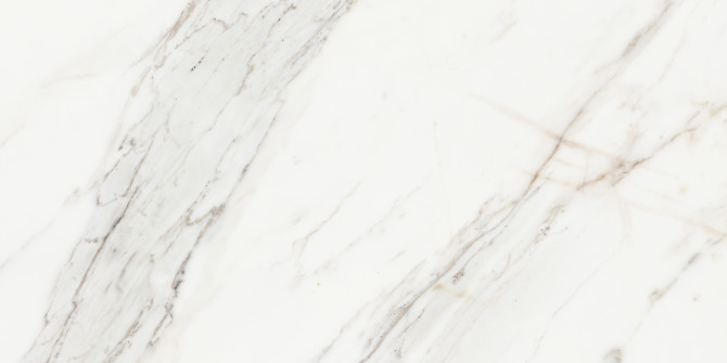 Majesto Calacatta Borghini 12×24 Field Tile Vintage Rectified