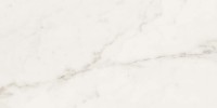 Alta White 12×24 Field Tile Matte Rectified