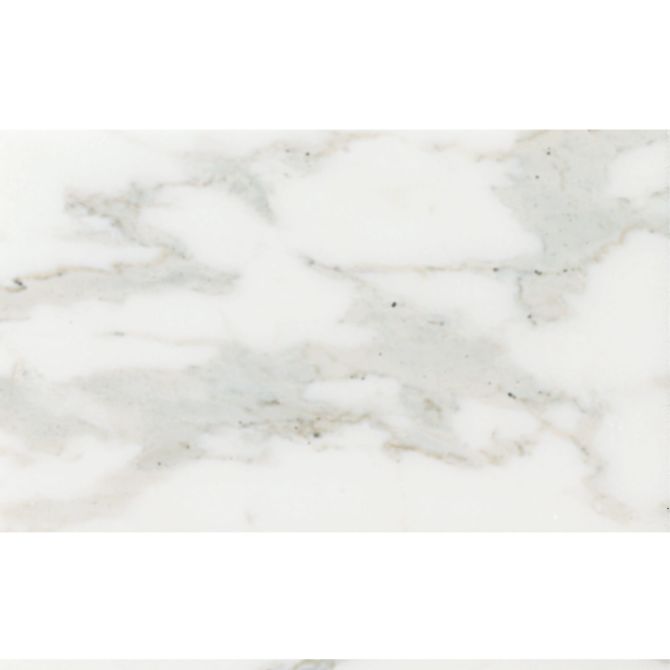 Studio Moderne Stone Calacata 5×8 Field Tile Honed