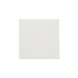 6th Avenue White 6×6 Field Tile Glossy