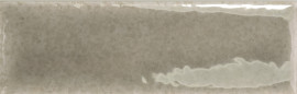 Skin Mink 2×5 Field Tile Glossy