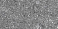 Santiago Dark Gray 12×24 Field Tile Rectified
