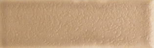 Skin Biscuit 2×5 Field Tile Matte