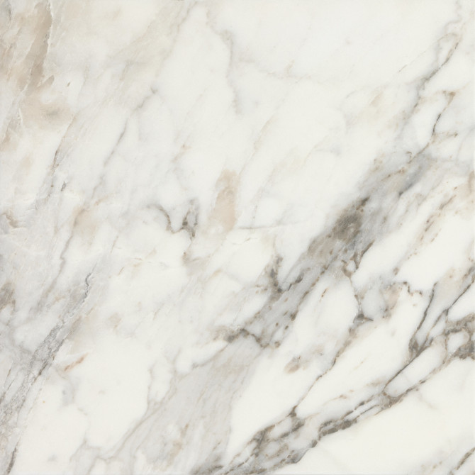 Savoir Cafe 24×24 Field Tile Polished