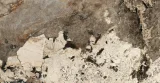 Heritage Luxe Heritage Flame 24×48 Field Tile 9mm Glossy Rectified Heritage Luxe Heritage Flame 24×48 Field Tile 9mm Glossy Rectified