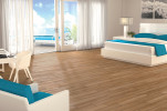 Relax Nutmeg 6x36