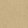 Argent 2.0 Golden Glow 12×24 Field Tile Rectified