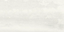 Chalmers Light 12×24 Metalriddle Decorative Tile Matte Rectified