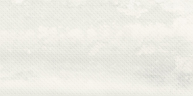 Chalmers Light 12×24 Metalriddle Decorative Tile Matte Rectified