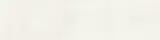 Casablanca White 3×12 Field Tile Glossy