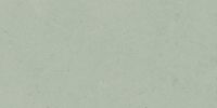 Argent 2.0 Silver Sage 12×24 Field Tile Rectified