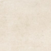 Fiesta Ivory 1×1 Accent Matte Rectified