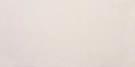 Crafter Papier-Mache 12×24 Field Tile Matte Rectified