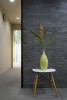 Cladding Silver Quartzite Strip
