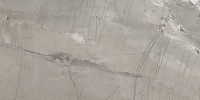 Absolute Dark Grey 12×24 Field Tile