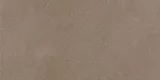 Color Blox 2.0 Sea Otter 12×24 Field Tile