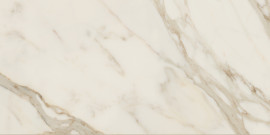Anima Futura Golden White 24×48 Field Tile Polished Rectified
