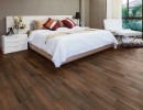 Knoxwood Nutmeg 6x24