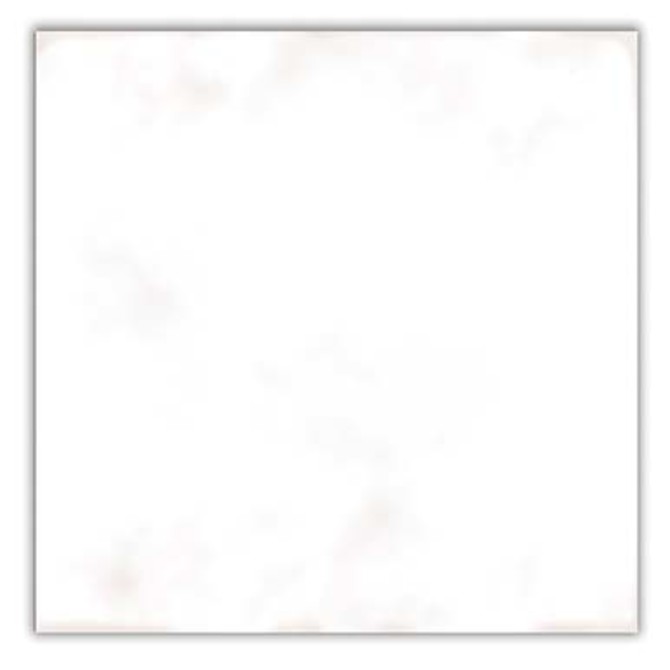 Bejmat White 6×6 Field Tile Glossy