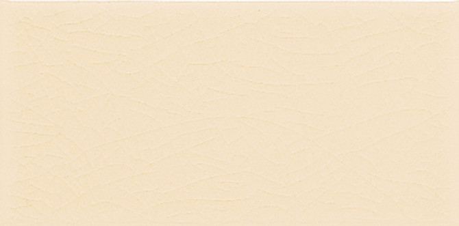 Delray Beaches 3×6 Field Tile Crackle