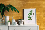 Eden Yellow 2x6
