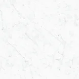 Carrara 24×24 Field Tile Honed Rectified