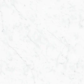 Carrara 24×24 Field Tile Honed Rectified