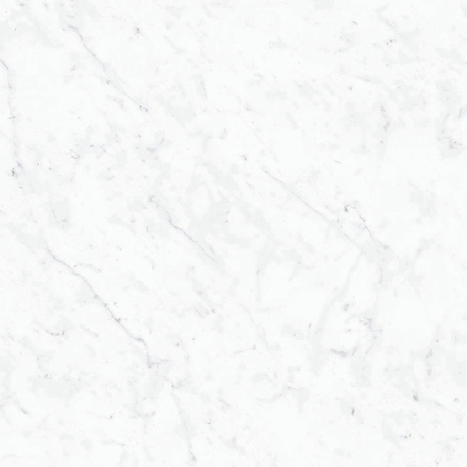 Carrara 24×24 Field Tile Honed Rectified