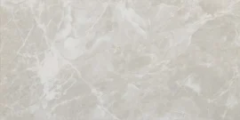 Eterna Gray 12×24 Field Tile Matte Rectified