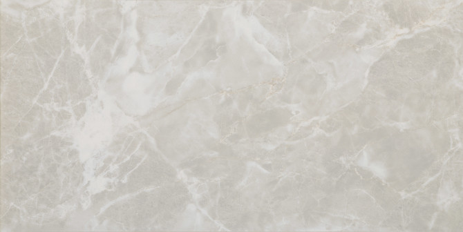 Eterna Gray 12×24 Field Tile Matte Rectified