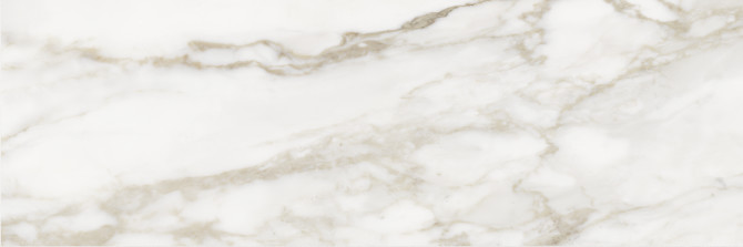 Raffino Calacatta Dolce 12×36 Field Tile Rectified
