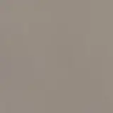 Neoconcrete Medium Gray 24×24 Field Tile Light Polished Rectified