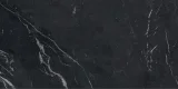 Anima Futura Unique Black 24×48 Field Tile Polished Rectified Anima Futura Unique Black 24×48 Field Tile Polished Rectified